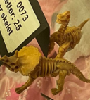 Dinosaur skelet