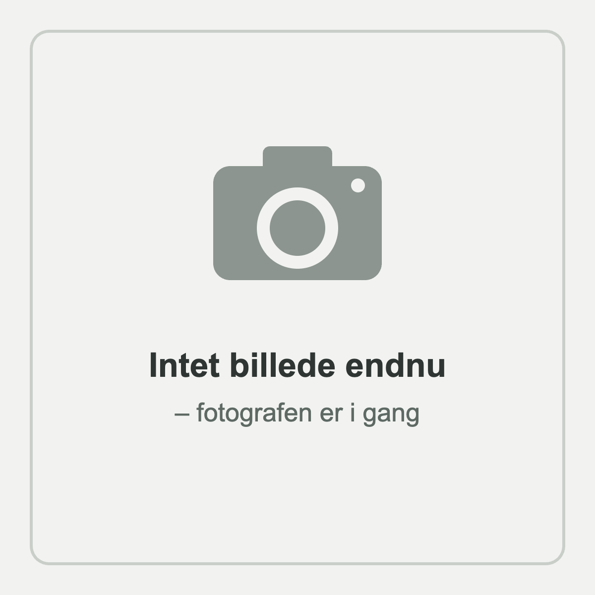 Intet billede endnu – fotografen er i gang